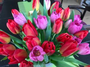 Die therapeutische Wirkung von Tulpen